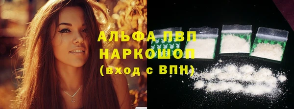 сатива Инта