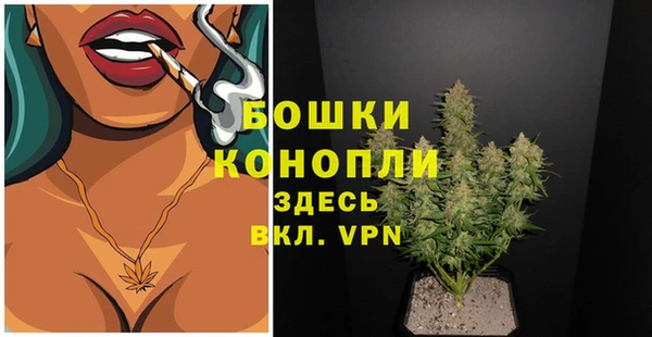 сатива Инта