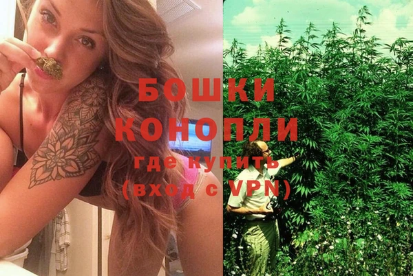 герыч Иннополис