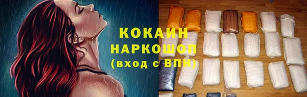 сатива Инта