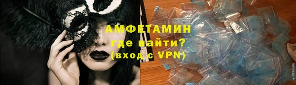 сатива Инта
