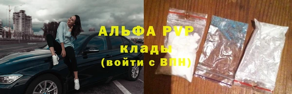 сатива Инта