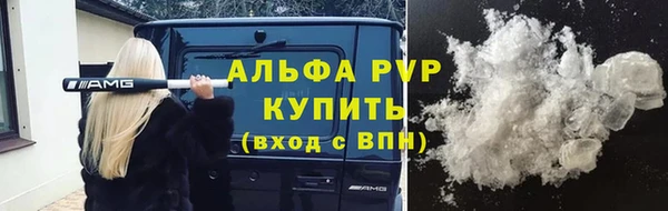 сатива Инта