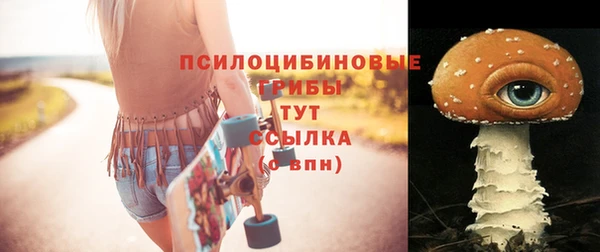 герыч Иннополис