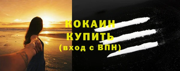 сатива Инта