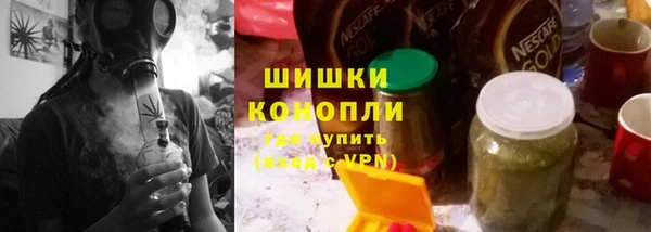 сатива Инта