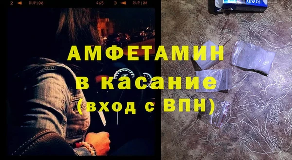 сатива Инта