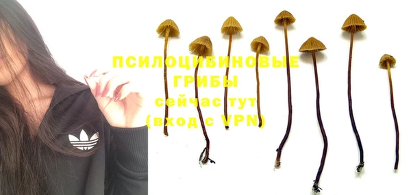 герыч Иннополис