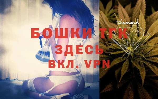сатива Инта