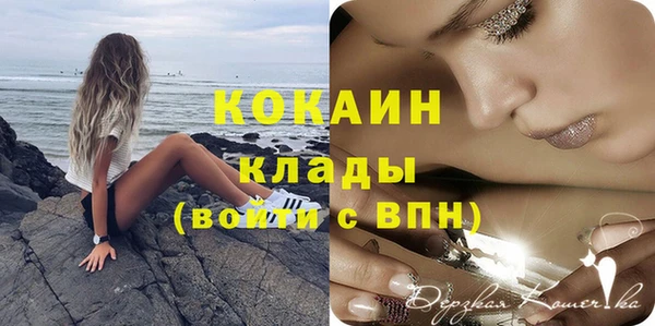 сатива Инта