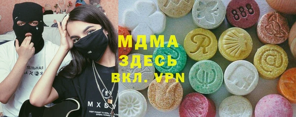 сатива Инта