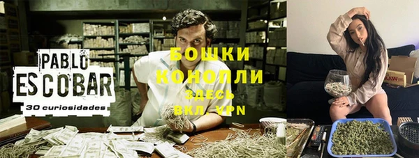 герыч Иннополис