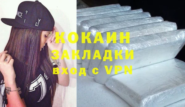 сатива Инта