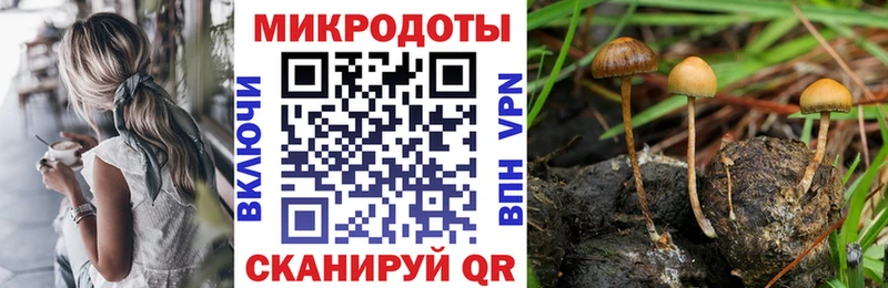 blacksprut ссылки  даркнет состав  Долгопрудный  Псилоцибиновые грибы MAGIC MUSHROOMS  купить наркотик 